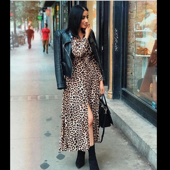 NWT Zara Animal Print Dress - Picture 5 of 8